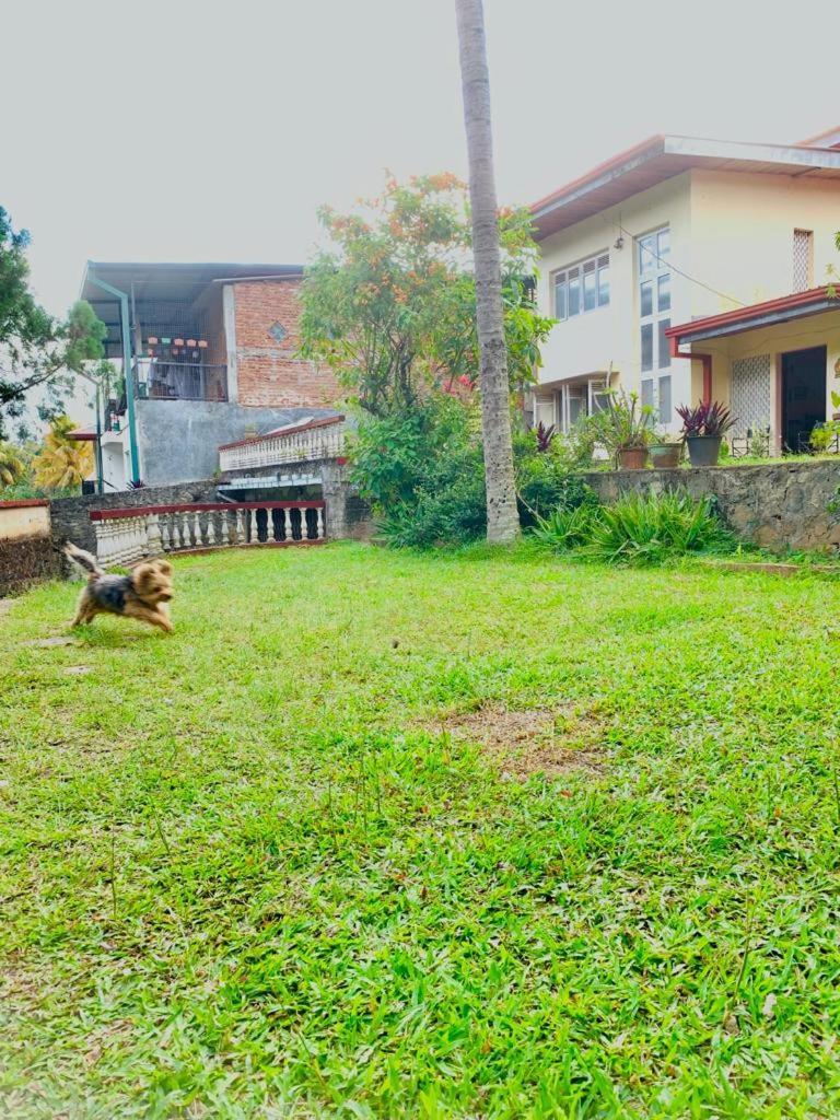 No 06 Veediya Bandara Lane Bahirawakanda Kandy Eksteriør bilde